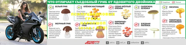 a pvp Медвежьегорск