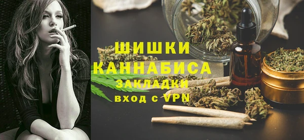 мдпв Мегион