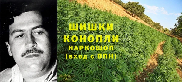 мдпв Мегион
