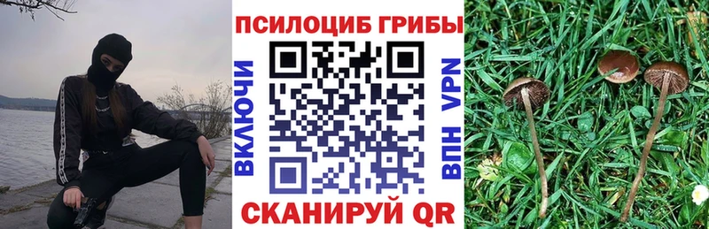 Галлюциногенные грибы Psilocybe  Ликино-Дулёво 