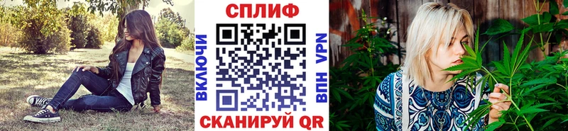 Конопля планчик  Ликино-Дулёво 